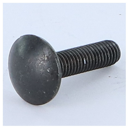 1 x Cabeza redonda cuello cuadrado M8X20 roscado total Acero cincado negro
