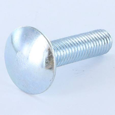 1 x Cabeza redonda cuello cuadrado M10X20 roscado total Acero cincado blanco