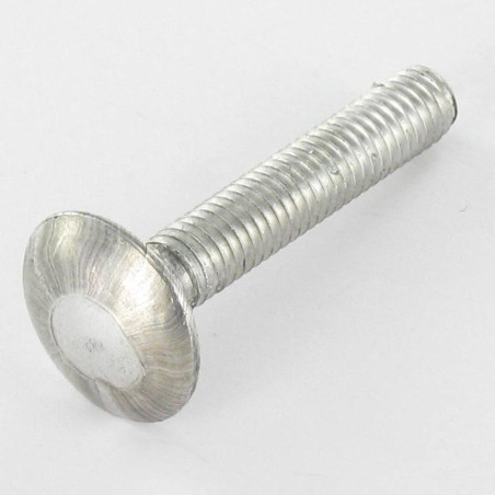 1 x Cabeza redonda cuello cuadrado M6X50 roscado total Acero cincado blanco