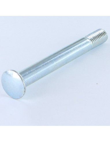 1 x Cabeza redonda cuello cuadrado M10X89...