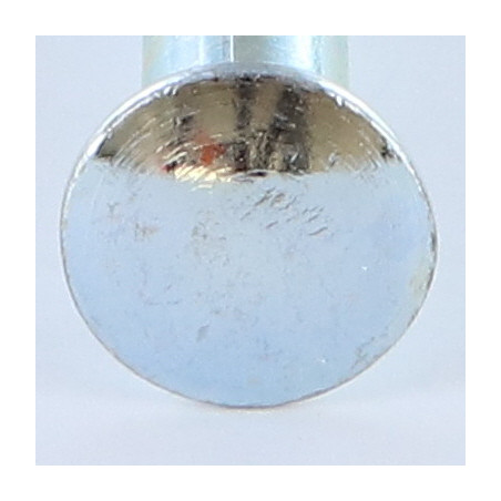 1 x Cabeza redonda cuello cuadrado M10X89 roscado en 21 cuadrado 10X10X2.5 Acero cincado blanco