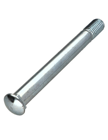 1 x Cabeza redonda cuello cuadrado M12X115...