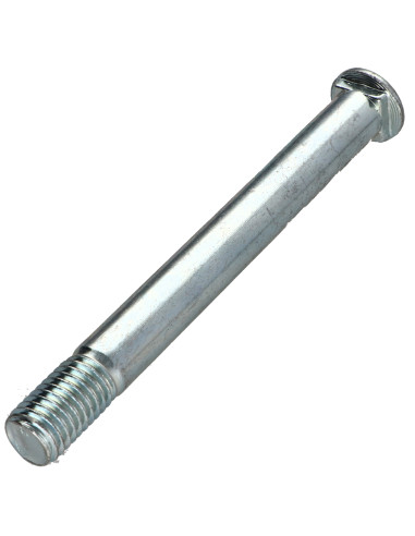 1 x Cabeza redonda cuello cuadrado M12X115...