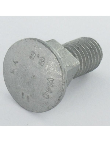 1 x Cabeza redonda cuello cuadrado M10X25...
