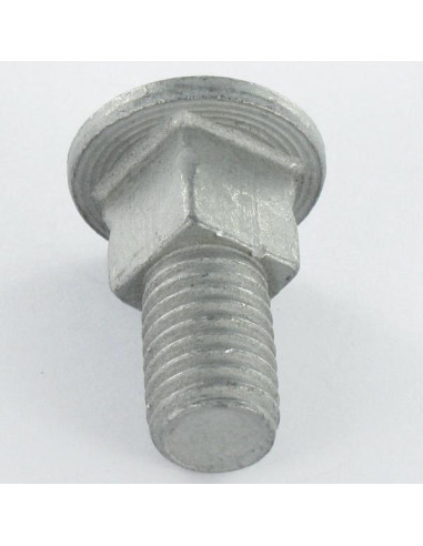 1 x Cabeza redonda cuello cuadrado M10X25...