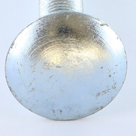 1 x Cabeza redonda cuello cuadrado M10X130 roscado total Acero cincado blanco