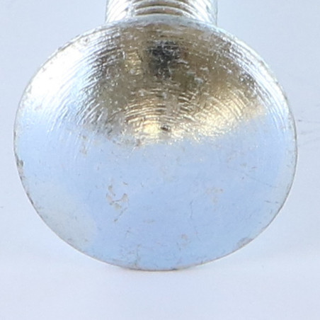 1 x Cabeza redonda cuello cuadrado M12X60 roscado total Acero cincado blanco