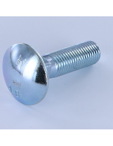 1 x Cabeza redonda cuello cuadrado M16X50...