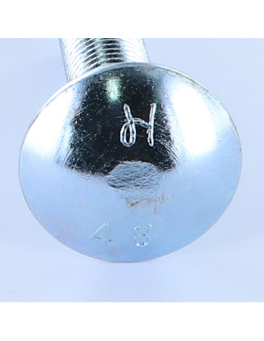 1 x Cabeza redonda cuello cuadrado M16X50...