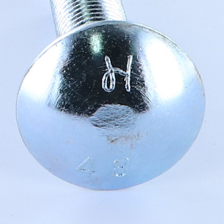 1 x Cabeza redonda cuello cuadrado M16X50 roscado total Acero cincado blanco