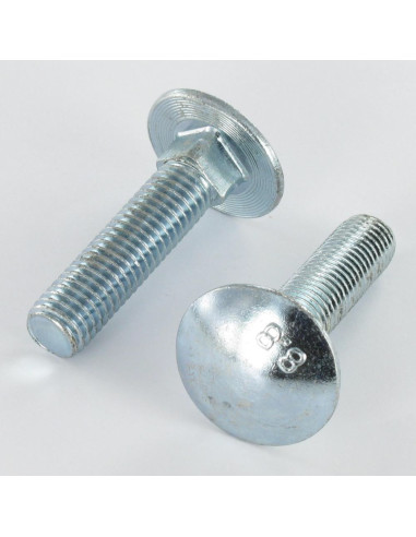 1 x Cabeza redonda cuello cuadrado M12X50...