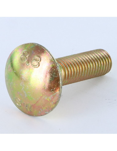 1 x Cabeza redonda cuello cuadrado M10X20...