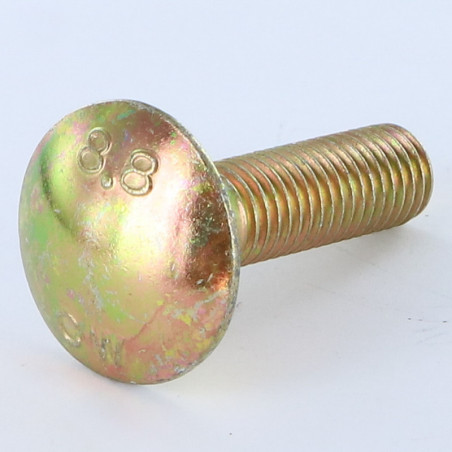 1 x Cabeza redonda cuello cuadrado M10X20 roscado total Bicromato