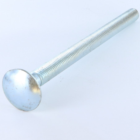 1 x Cabeza redonda cuello cuadrado M14X120 roscado total Acero cincado blanco