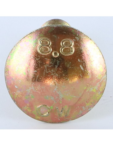 1 x Cabeza redonda cuello cuadrado M10X20...
