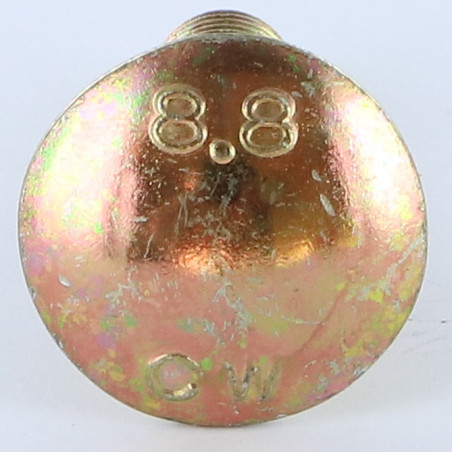 1 x Cabeza redonda cuello cuadrado M10X20 roscado total Bicromato