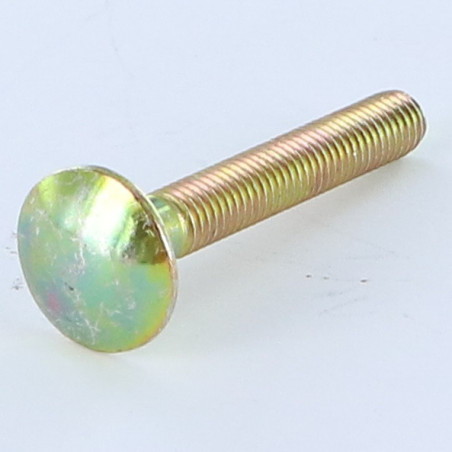 1 x Cabeza redonda cuello cuadrado M10X20 roscado total Bicromato
