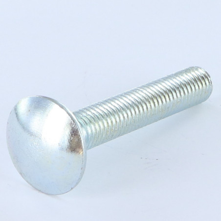 1 x Cabeza redonda cuello cuadrado M10X45 roscado total Clase 8.8 Acero cincado blanco