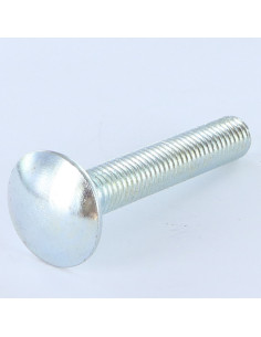 Cabeza redonda cuello cuadrado M10X40 roscado total Acero...