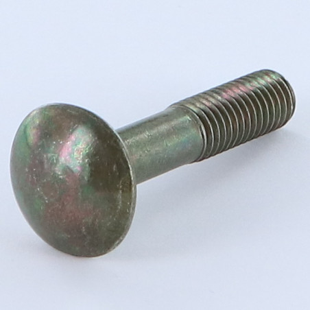 1 x Cabeza redonda cuello cuadrado M8X40 roscado total acero bronce