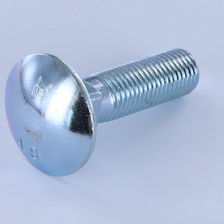 1 x Cabeza redonda cuello cuadrado M16X60 roscado total Acero cincado blanco