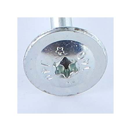 1 x Tornillo madera aglomerado cabeza disco TORX T25 5X100 Acero cincado blanco