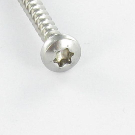 1 x Tornillo madera aglomerado cabeza redonda 5X25 TORX T25 Acero cincado blanco