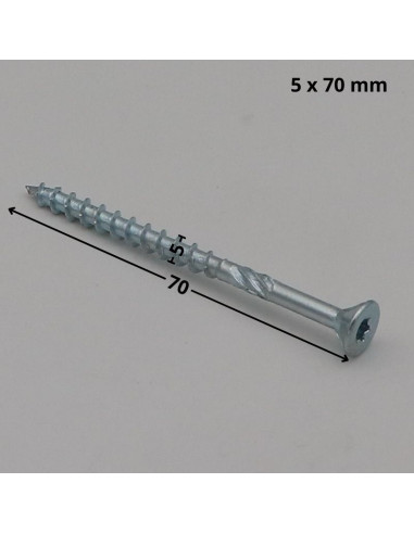 1 x Tornillo para marcos TEKOR cabeza...