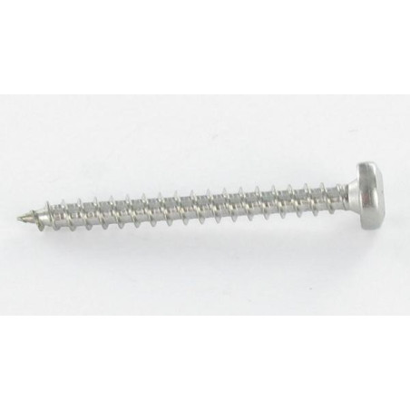 1 x Tornillo madera aglomerado cabeza redonda 4X30 TORX T20 Acero cincado blanco