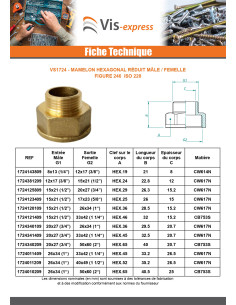 Niple hexagonal reducido Figura 246 macho hembra 15x21... 2