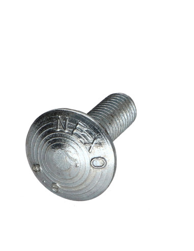 1 x Cabeza redonda cuello cuadrado M10X30...