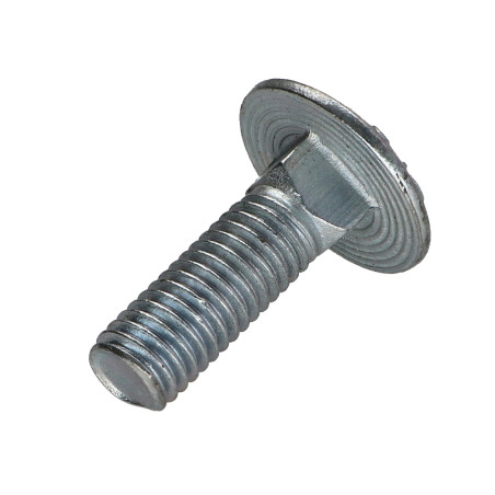 1 x Cabeza redonda cuello cuadrado M10X30 roscado parcial Clase 8.8 Acero cincado blanco