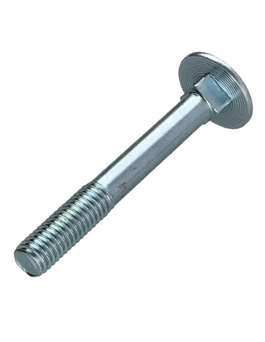 1 x Cabeza redonda cuello cuadrado M8X60...