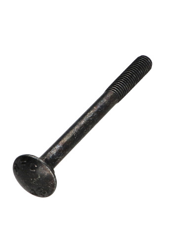 1 x Cabeza redonda cuello cuadrado M5X55...
