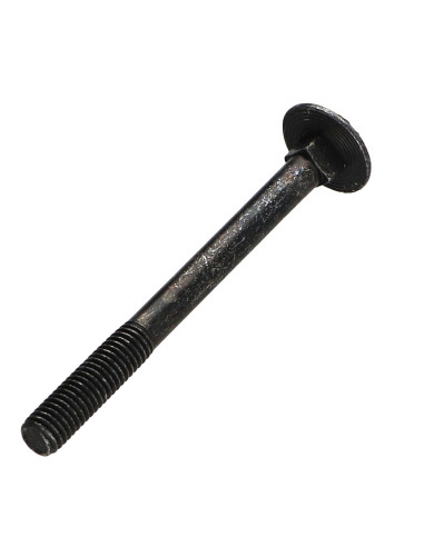 1 x Cabeza redonda cuello cuadrado M5X55...