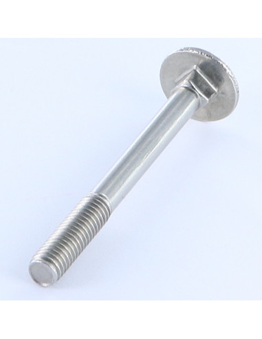 1 x Cabeza redonda cuello cuadrado M12X240...