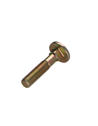 1 x Cabeza redonda cuello cuadrado M7X35...
