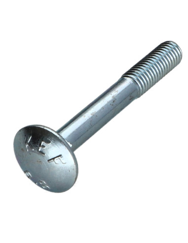 1 x Cabeza redonda cuello cuadrado M10X155...