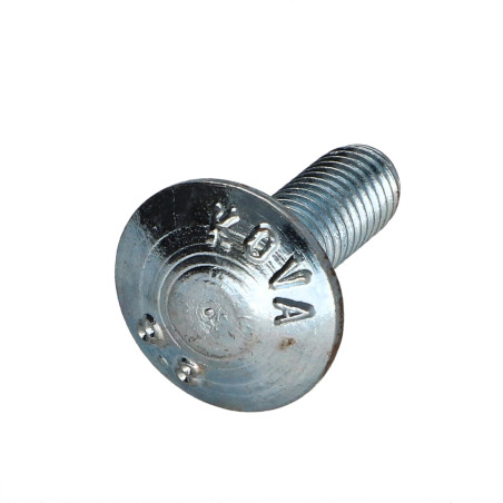 1 x Cabeza redonda cuello cuadrado M8X25 roscado en 22 roscado parcial Clase 8.8 Acero cincado blanco