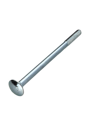 1 x Cabeza redonda cuello cuadrado M10X180...