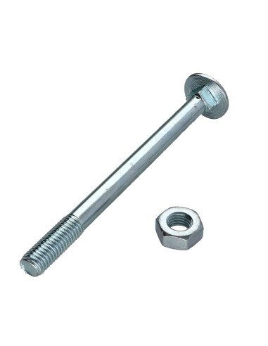 1 x Cabeza redonda cuello cuadrado M10X120...