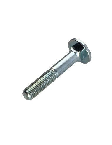 1 x Cabeza redonda cuello cuadrado M8X50...