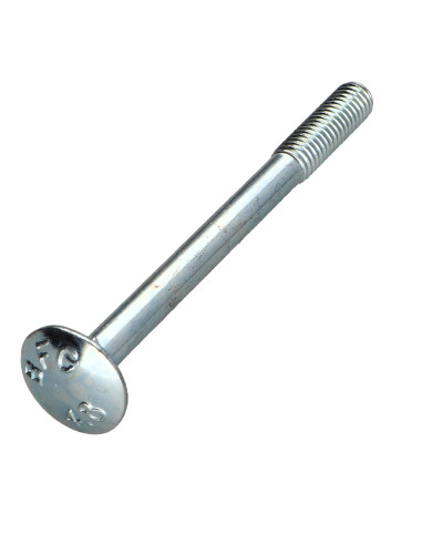 1 x Cabeza redonda cuello cuadrado M6X70...