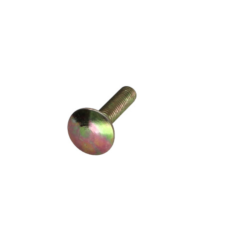 1 x Cabeza redonda cuello cuadrado M5X22 roscado total COLCAR 6 Bicromato