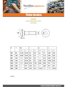 Cabeza redonda cuello cuadrado M10X150 roscado parcial... 2