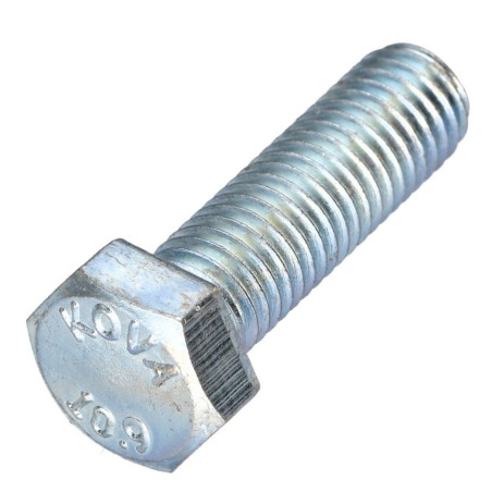 1 x Tornillo metales cabeza hexagonal paso izquierda M6X50 clase 10.9 acero geométrico