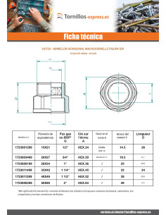 Abbildung 529 macho hembra reforzado 15x21 (1/2") Latón 2