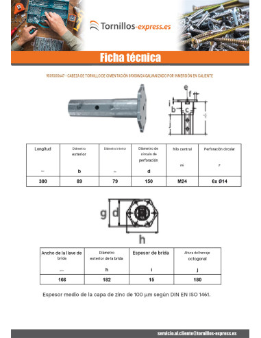 1 x Cabeza del tornillo de cimentación 89X5XM24...