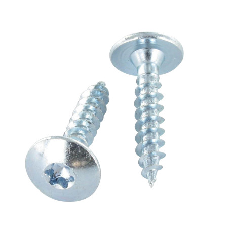1 x Tornillo pernio 4.5X50 roscado total TORX T20 Acero cincado blanco LAQ RAL1015 marfil claro