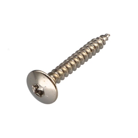 1 x Tornillo pernio 6X45 roscado parcial TORX T30 Acero niquelado